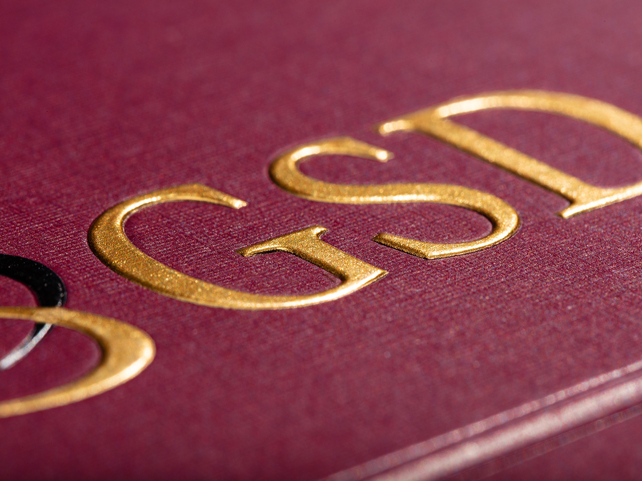 Branded Folders with ColoRaised™ Imprinting Example